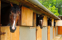 free Manor Hill Corner stable construction quotes